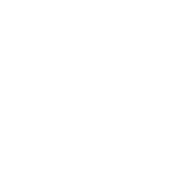 mcgmsistemesecuritate